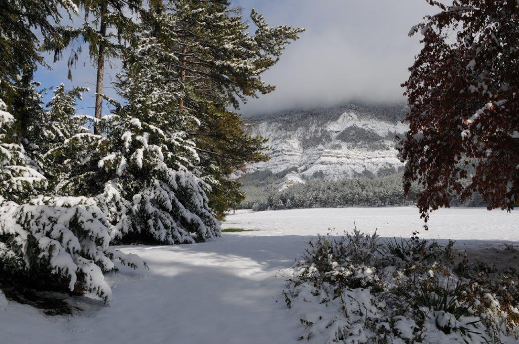 Bed and Breakfast La Source Saint-Pierre-d'Argencon Exterior foto